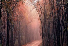 爱游戏：“江苏省三大球振兴：加强青训，开展篮球和排球联赛”.