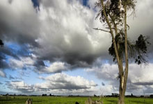 爱游戏：斯诺克巡回锦标赛：卫冕冠军PK丁俊晖，名将冲2.