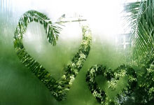 意媒：尤文已接触奥斯梅恩经纪人，但获得欧冠资格是交易前提.